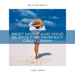 Best Noise and Wind Blows For Perfect Calm Down - Seashore Waves