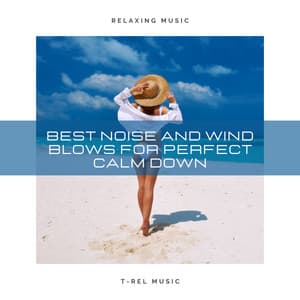 Best Noise and Wind Blows For Perfect Calm Down - Seashore Waves