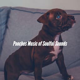 Pooches Music of Soulful Sounds - Calm Dog Music