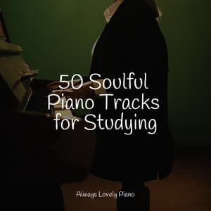 Quieting Melodies | Deep Chillout and Relaxation - Relaxing Piano Music Masters