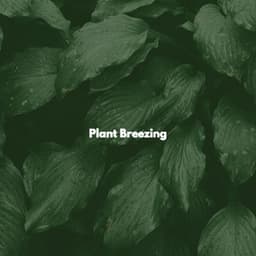 Plant Breezing - University Jazz Cafe