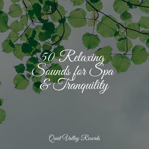 50 Relaxing Sounds for Spa & Tranquility - Sonidos De Lluvia y Tormentas