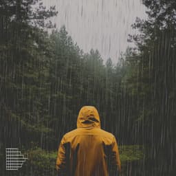 Nature Relaxation - Nature Label