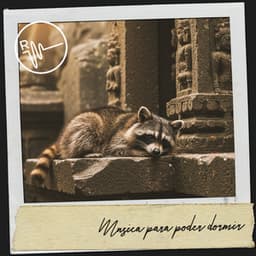 Música para poder dormir: Sueños melódicos - Relajacion