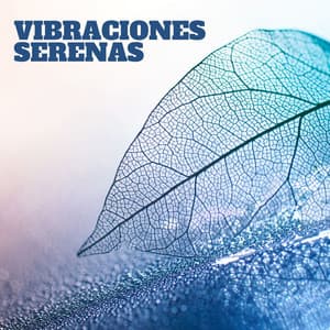 Vibraciones Serenas: Música Zen para Yoga y Meditación Profunda - Reiki y Tai Chi Armonía