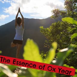 The Essence of Ox Year - Alice Greenwood