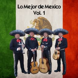 Lo Mejor de Mexico, Vol. 1 - D.R.