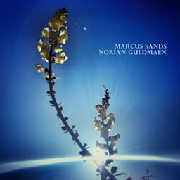 Bloom of the Kundalini - Norian Guldmaen