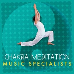Chakra Meditation Music Specialists - Chakra Meditation Specialists