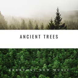 Ancient Trees: Native American Chants - Everyday New Music
