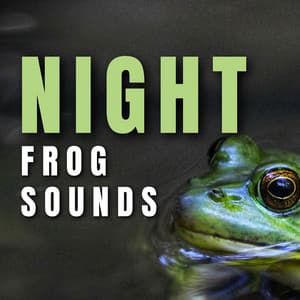 Night Frog Sounds - Frog Sounds