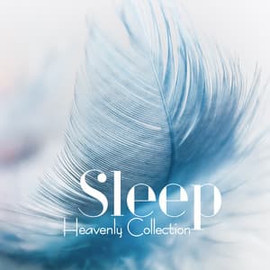 Sleep - Heavenly Collection of Soothing Melodies, Soothes Your Nerves & Calms Your Thoughts - Liam Camprelle