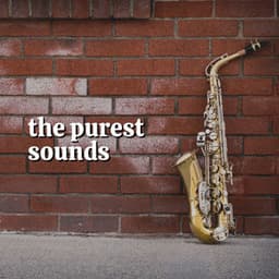 The Purest Sounds - Hotel Lobby Jazz Group