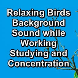 Relaxing Birds Background Sound while Working Studying and Concentration - Bird and Nature Sounds