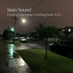 Rain Sound: Evening Downpour Trickling Noise Vol. 1 - Water Effects Center