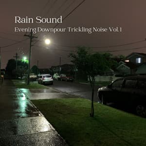 Rain Sound: Evening Downpour Trickling Noise Vol. 1 - Water Effects Center