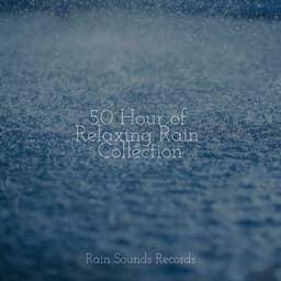 50 Hour of Relaxing Rain Collection - Sleep Sound Library