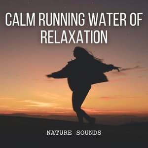 Nature Sounds: Calm Running Water of Relaxation - Water Way