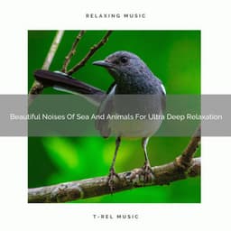 Beautiful Noises Of Sea And Animals For Ultra Deep Relaxation - The Noise Project