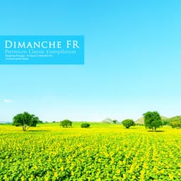 A Classic Collection for Uninterrupted Sleep - Dimanche FR