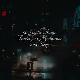 50 Gentle Rain Tracks for Meditation and Sleep - Heavy Rain Sounds