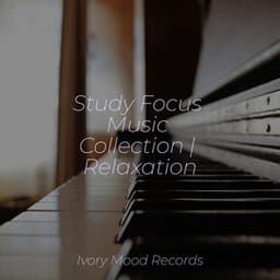 Study Focus Music Collection | Relaxation - Piano Prayer