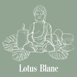 Lotus Blanc: Rayon de Tranquillité - Buddhist méditation académie
