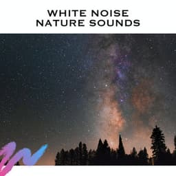 White Noise Nature Sounds - Study Radiance