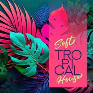 Soft Tropical House – Dreamy Instrumental Beats - Melodic House Machine