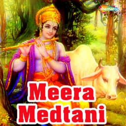 Meera Medtani - Kashyap Vora