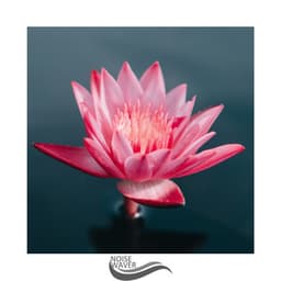 Sleeping Force - Mixed Noise Bank