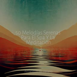50 Melodías Serenas Para El Spa Y La Meditación - Zen Music Garden
