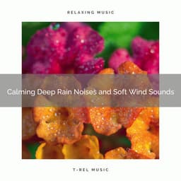 2021 New: Calming Deep Rain Noises and Soft Wind Sounds - Sleep Miracle