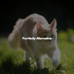 Purrfectly Alternative - Jazz Vibe Duo