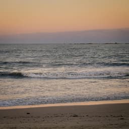 0 Hour Nature: Mystical Horizons - Nature Sound Collection