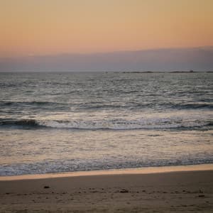 0 Hour Nature: Mystical Horizons - Nature Sound Collection