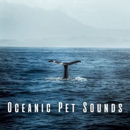 Oceanic Pet Sounds: Binaural Harmony with Theta Waves - 432 Hz Frequencies