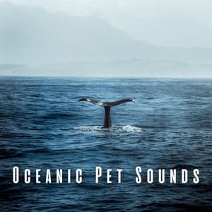 Oceanic Pet Sounds: Binaural Harmony with Theta Waves - 432 Hz Frequencies
