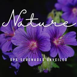 Spa Serenades Unveiled: Melodic Escapes - Spa Music Station