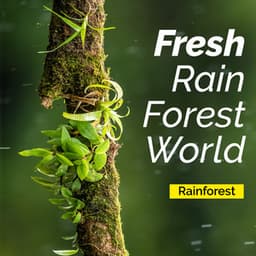 Fresh Rain Forest World - Rainforest