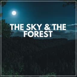 The Sky & the Forest - Nature Soundscapes