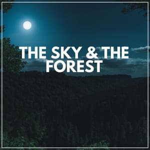 The Sky & the Forest - Nature Soundscapes