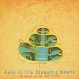 The Hearing and the Sense of Balance - Fury In The Slaughterhouse
