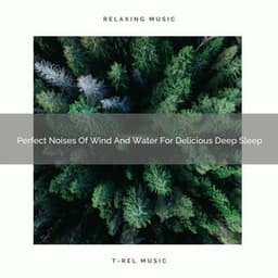 Perfect Noises Of Wind And Water For Delicious Deep Sleep - Sleep Dimension