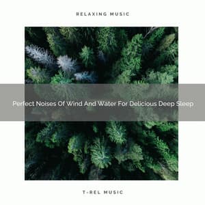 Perfect Noises Of Wind And Water For Delicious Deep Sleep - Sleep Dimension