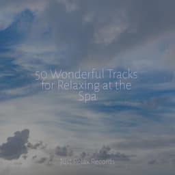 50 Wonderful Tracks for Relaxing at the Spa - Kinderliederbande