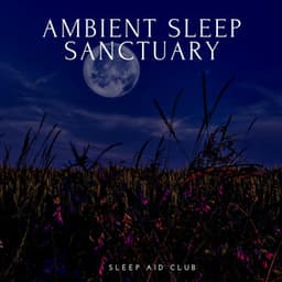Ambient Sleep Sanctuary: Soothing Chill Tunes - Sleep Aid Club