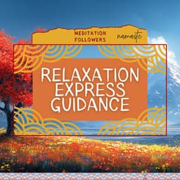 Relaxation Express Guidance - Meditation Followers