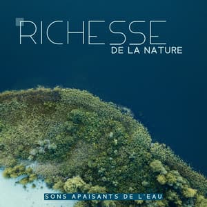 Richesse de la nature: Sons apaisants de l'eau - Natural New Age Maker!