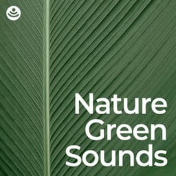 Nature Green Sounds: Sleep and Relaxation - Nature Sounds for Sleep and Relaxation